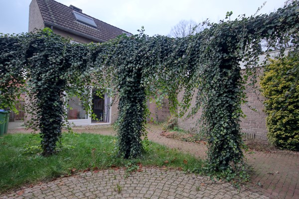 Medium property photo - Torenlaan 15, 6866 BS Heelsum